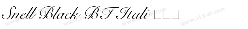Snell Black BT Itali字体转换